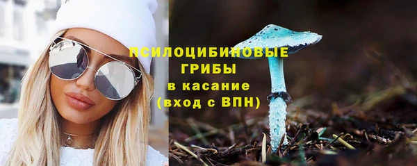 2c-b Аркадак