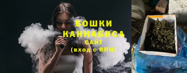 прущие грибы Армянск