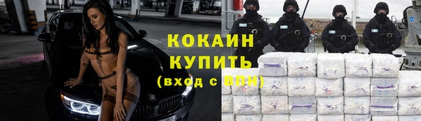 прущие грибы Армянск