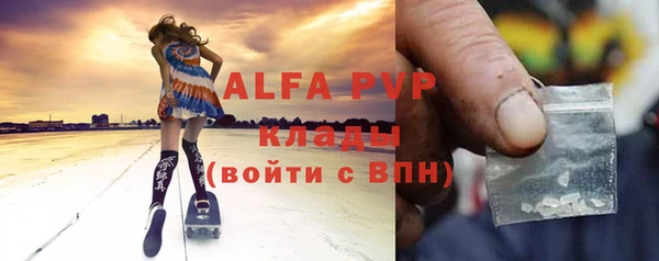 прущие грибы Армянск