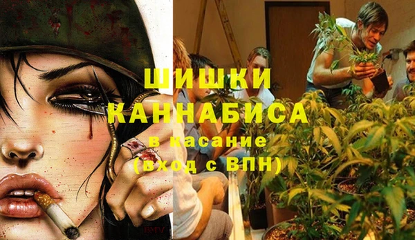 прущие грибы Армянск