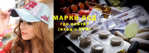 прущие грибы Армянск